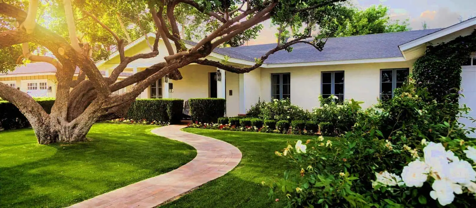 A charming single-story house with a white facade and large windows is nestled among lush greenery. Expert landscaping enhances its appeal, including a majestic tree with sprawling branches in the front yard and a paved walkway leading to the door amidst well-manicured lawns and bushes.