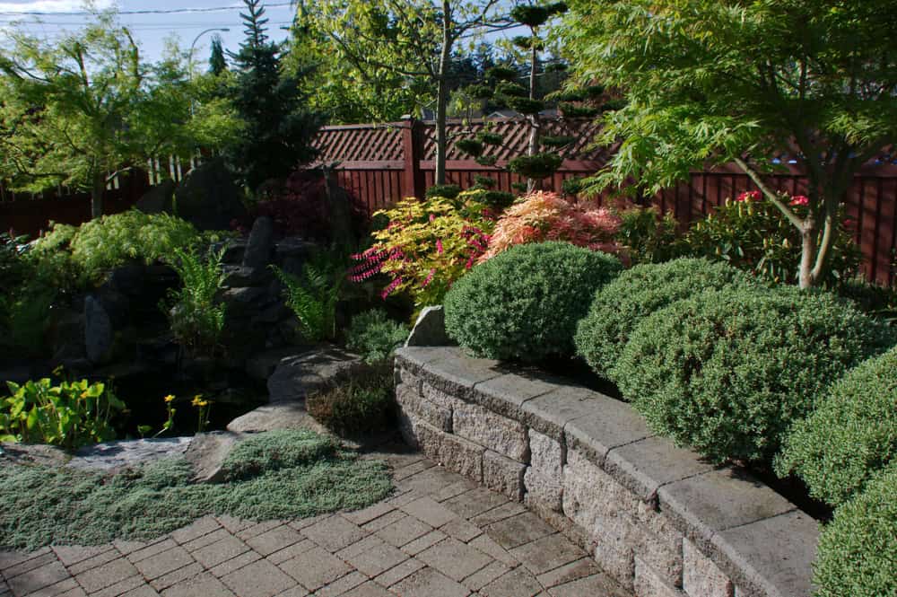 A serene garden features a variety of lush green plants and colorful foliage along a wooden fence. Crafted by landscapers in Delaware County, a small rock waterfall flows into a pond surrounded by greenery. A stone wall lines the edge of a paved pathway, creating a peaceful outdoor space.