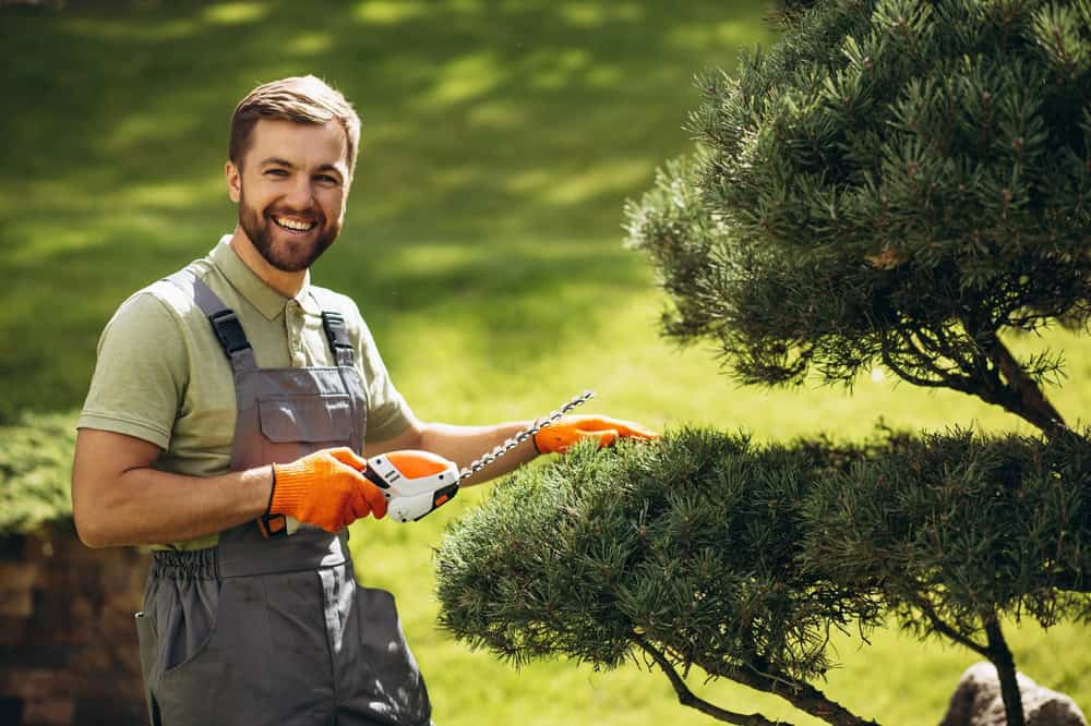A man in a green shirt and gray overalls, likely one of the skilled landscapers in Delaware County, smiles while trimming a pine tree with an electric hedge trimmer. He is wearing orange gloves, standing in a garden with a lush green lawn in the background.