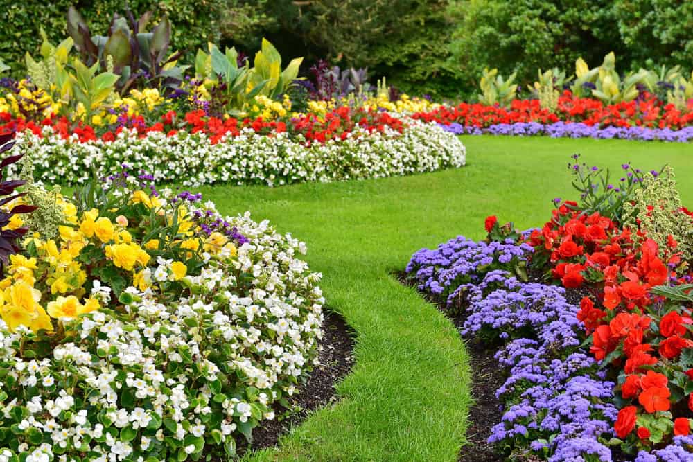 A vibrant garden featuring curved flower beds filled with colorful blooms, beautifully crafted by landscapers in Delaware County. Yellow, white, red, and purple flowers are surrounded by lush green grass, creating a lively and serene landscape.