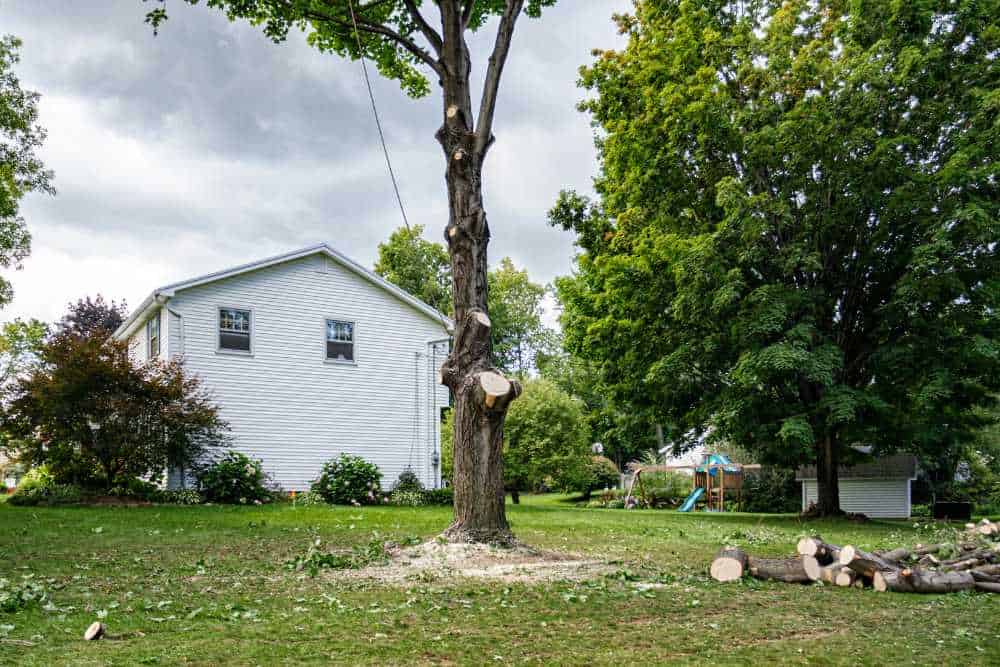 A two-story house stands in a grassy yard with trees, surrounded by the work of expert landscapers in Delaware County. A partially cut tree is in the foreground, with logs and branches scattered around, marking a recent tree removal. The sky is overcast.