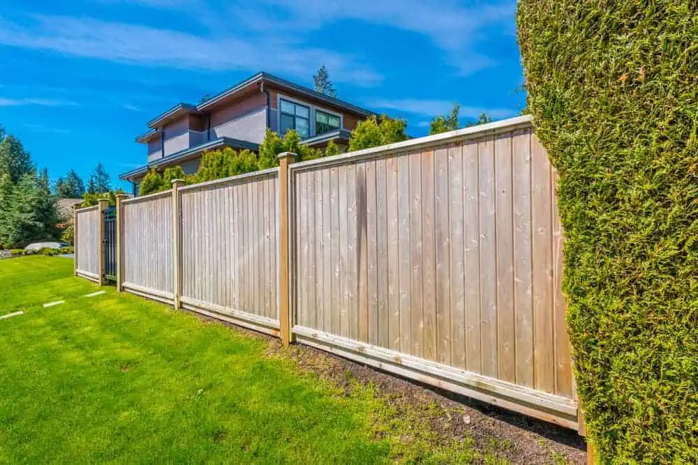 A modern house with large windows partially hidden behind a tall wooden fence and trimmed hedges. The bright blue sky and green grass surround the property, creating a vibrant and serene setting.