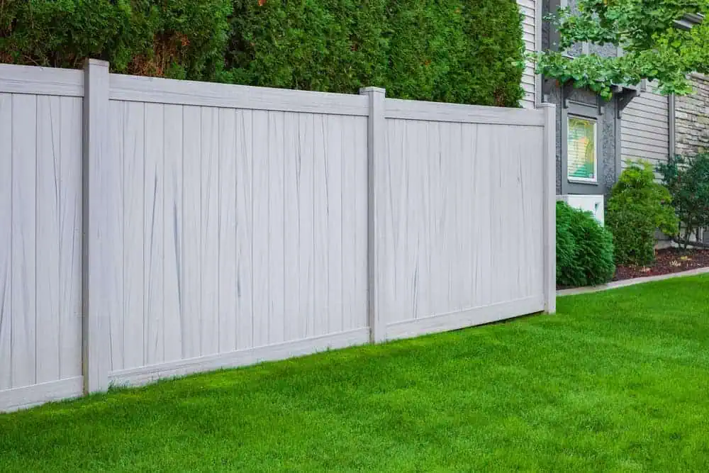 A white vinyl fence runs along a lush, green lawn. Behind the fence, tall evergreen shrubs partially obscure a grey house with a window, visible in the background. The setting suggests a suburban residential area.