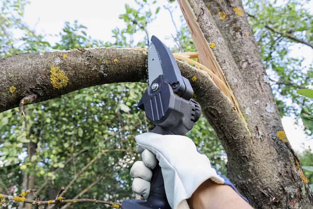 A person wearing white gloves uses a power saw to cut through a tree branch. The branch is partially split, and the background shows green foliage.