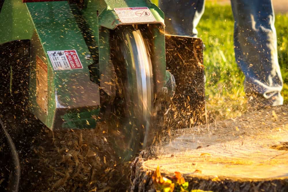 A green stump grinder in action, with its spinning blade cutting into a tree stump. Wood chips and sawdust are flying, and a person in jeans stands nearby on grassy ground.