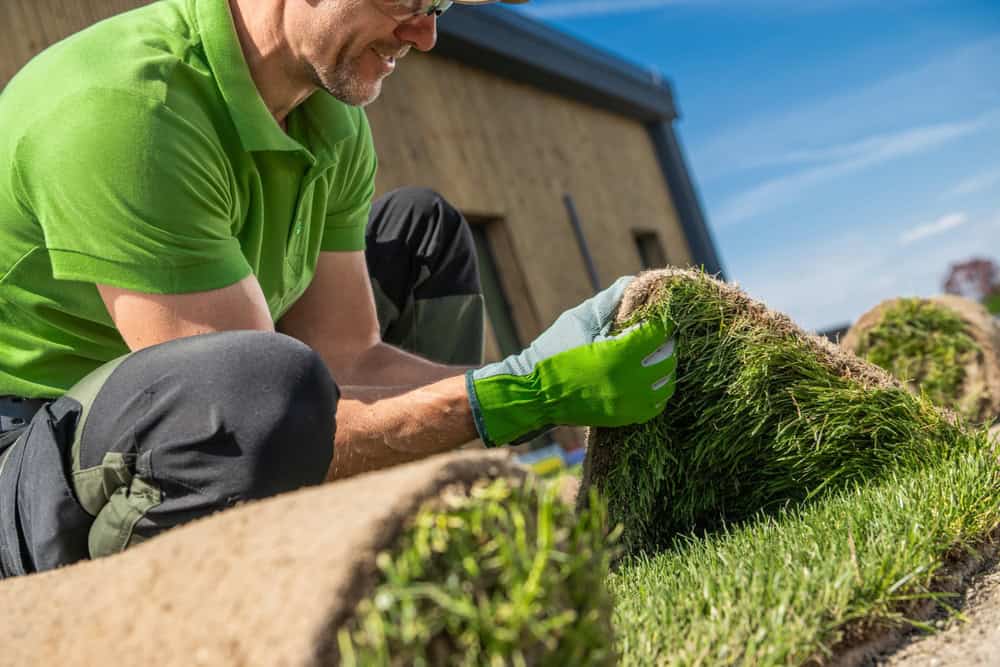 Person in a green shirt and gloves unrolling fresh sod onto a lawn in front of a wooden building under a clear blue sky.