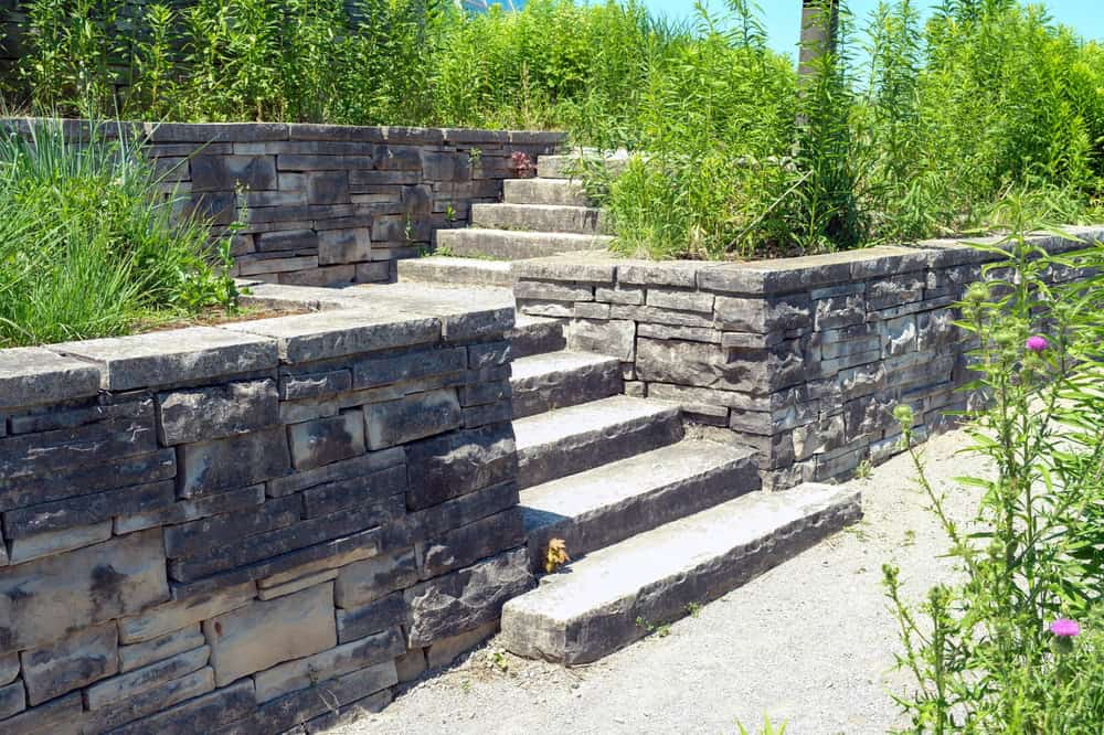 Stone steps and retaining walls in a garden with lush green plants and tall grass growing around, under bright sunlight. The steps and walls have a rustic, weathered appearance.
